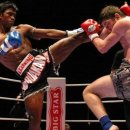 정의태권도체육관 이미지