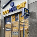 도그마켓부산