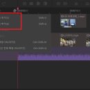 곰비디오 이미지