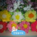 엔젤플라워 이미지