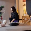 유어펫스토리 - 마포구 성미산로15길 40 | 유어펫스토리