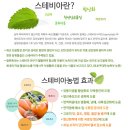 황토밭 단감 50% 맛보기 이벤트 이미지