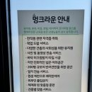 멍크라운 | 믿을만한 부산 애견유치원, 인조 운동장이 있는 멍크라운