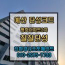 차고치는집 | [예산 탄성코트] 평화아파트 2차 곰팡이와 들뜬 페인트 해결! 그랑프리 1000 시공 후기
