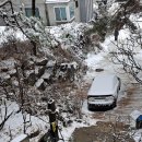 아낙사우나 이미지