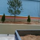 대지농산 이미지