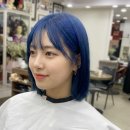 헤어두비취