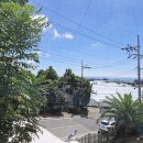 하늘이네 농장 | 서귀포 단체여행 숙소 예뜰 재방문