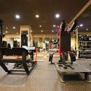 레이 휘트니스 이미지