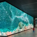 유원모터스 이미지