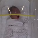 베네라산후조리원 | 산본 제일병원 모유 수유 전문 베네라 산후조리원 솔직 후기