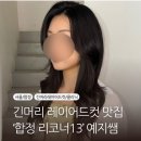 예지헤어샵 - 북구 | [공지] 합정미용실 리코너13 합정점 ㅣ예지 디자이너 긴머리 레이어드컷 클리닉 받은 후기