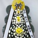 정흥모 Daum카페