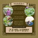 큰골영농조합법인 이미지