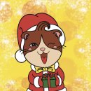 카페스위키