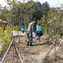 군산시 재향군인회 이미지