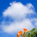 수로왕릉 이미지