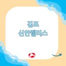 신안 웰리스 이미지