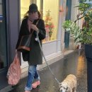 4503 | 장마철대비☔️ 레인부츠 뭐사지 모음집👢