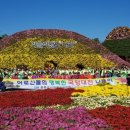 함평군사회복지협의회 이미지