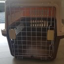 피스켄넬 이미지