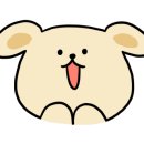 드레스까페