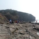 유가초등학교 이미지