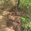 (구.진위산단입구 사거리) | [공지] 20240416금정산훈련(계명봉,암괴류계곡치기)산행