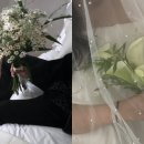 뵈뵈 스튜디오 네이버블로그