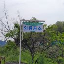 농암로(와룡면) 이미지