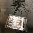 한국먼디파마유한회사 이미지