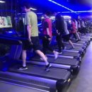 킹덤스포렉스 이미지