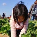 서하농장 이미지