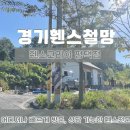 디자인펜스 | 평택휀스 시공 후기 메쉬펜스와 디자인 대문 설치 과정