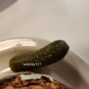 인생비어 | 광진구 맛집] 유아동반 가능, 어린이대공원 맛집 - 원스타 올드패션드 햄버거 어린이대공원점 (+ 루트비어)