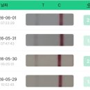 미즈커리어 | 다시 맞은 생리유도주사, 페마라정복용 그리고 과배란주사까지