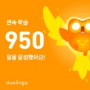 [교생 일기] 얘들아 선생님 말좀듣자