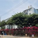 행복한튀김세상
