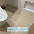 e편한세상서울대입구아파트경로당 | E편한세상 서울대입구 1단지 욕실 줄눈 시공 후기｜곰팡이 제거부터 빈티지 비앙코 완성까지