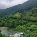 관아 수제차 이미지