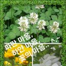 새롭고산길