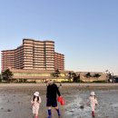 장비 - 고양시 덕양구 호국로790번길 17 | 비체팰리스 갯벌체험 장비 대여 후기｜아이랑 가기전 꼭 보세요!