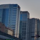 유림카센타 | [부산진구] [전포동] 서면유림노르웨이아침 임장 - 약간은 오피스텔같기도 한.... (+ 서면cgv 구경