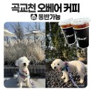 길카페 - 칠곡군 유학로 300 | 길카페