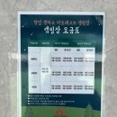 무태스포츠 | [나들이기록 2] 경기 광주 팀업캠퍼스 더포레스트캠핑장 글램핑