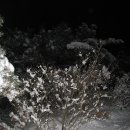 산마루카페 이미지