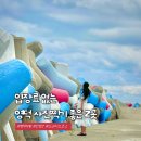 입장료 없는 영덕 가볼만한곳! 사진찍기 좋은 무료 바다여행 대진항 스카이워크 &amp; 병곡방파제