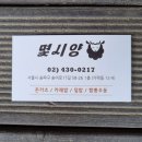 몇시양