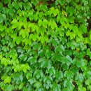 구영365소아청소년과의원 이미지