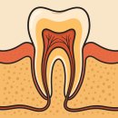 더이로운치과병원 이미지